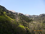 泰山