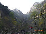 泰山