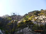 泰山