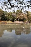 河水