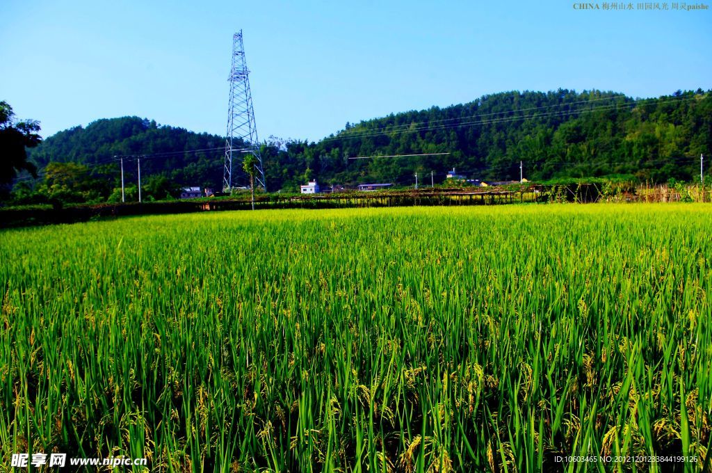 乡村 田园风光