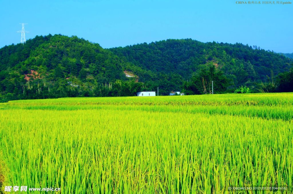 乡村 田园风光
