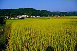 山水风景 田园风光