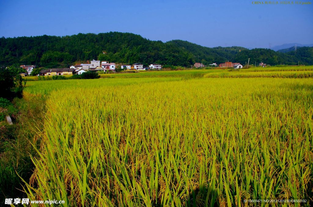 山水风景 田园风光