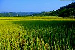 山水风景 田园风光