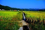 山水风景 田园风光