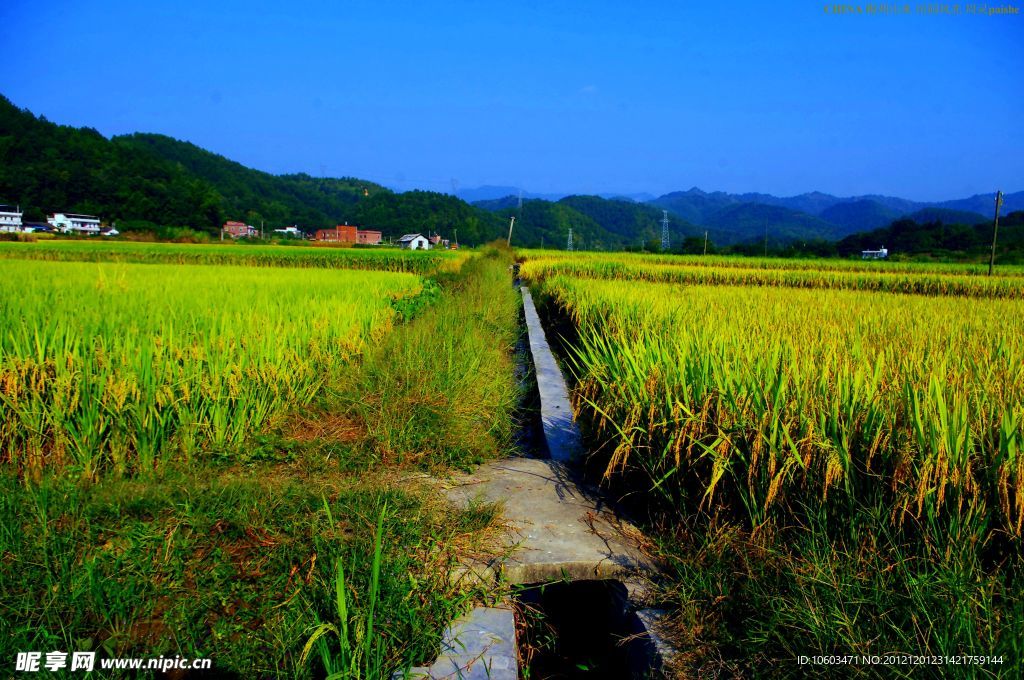 山水风景 田园风光