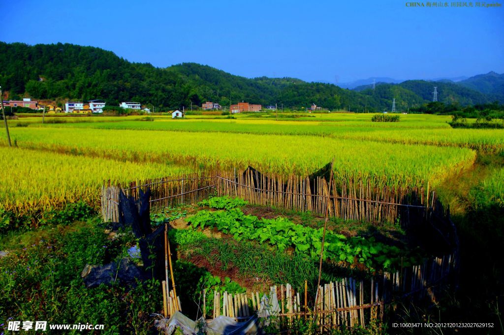 山水风景 田园风光