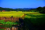 山水风景 田园风光