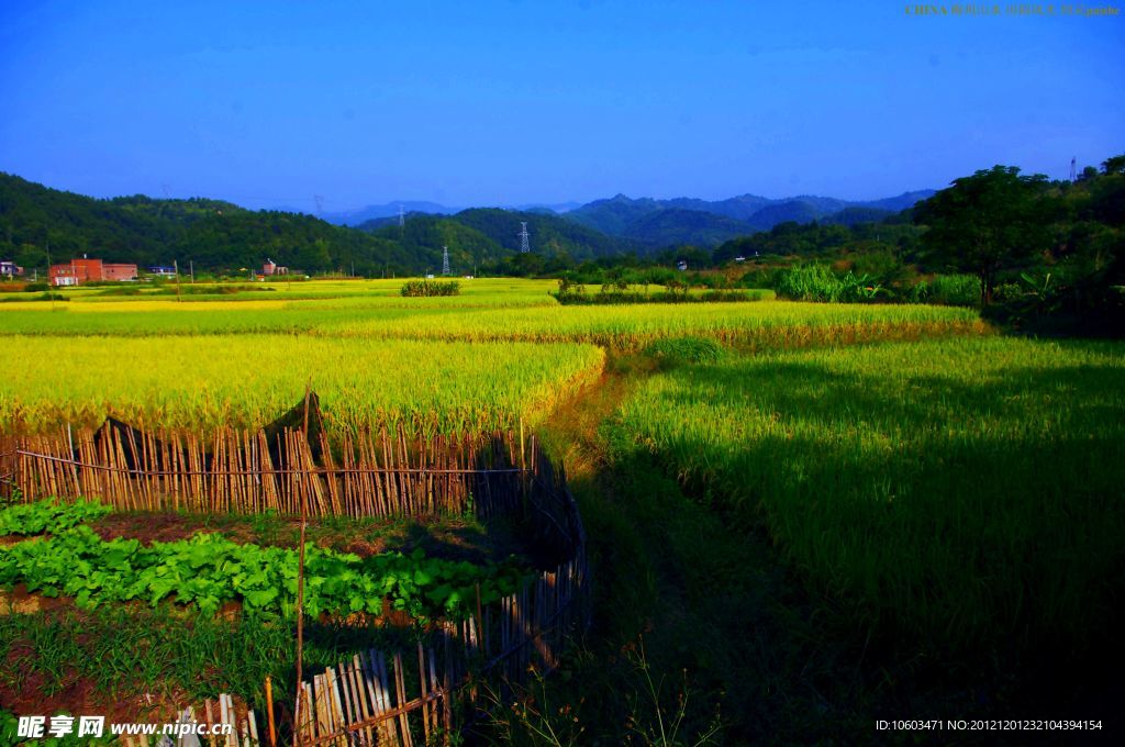 山水风景 田园风光