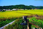 山水风景 田园风光