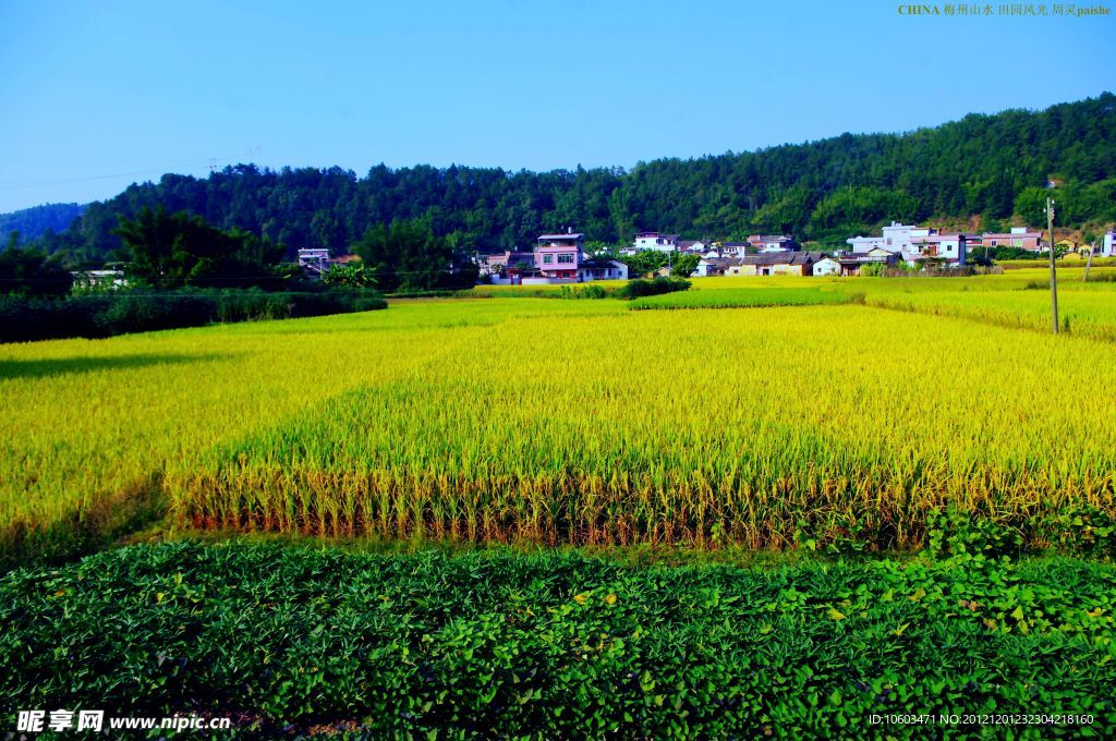 山水风景 田园风光