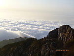 泰山