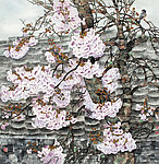 春色满园