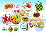 水果大全