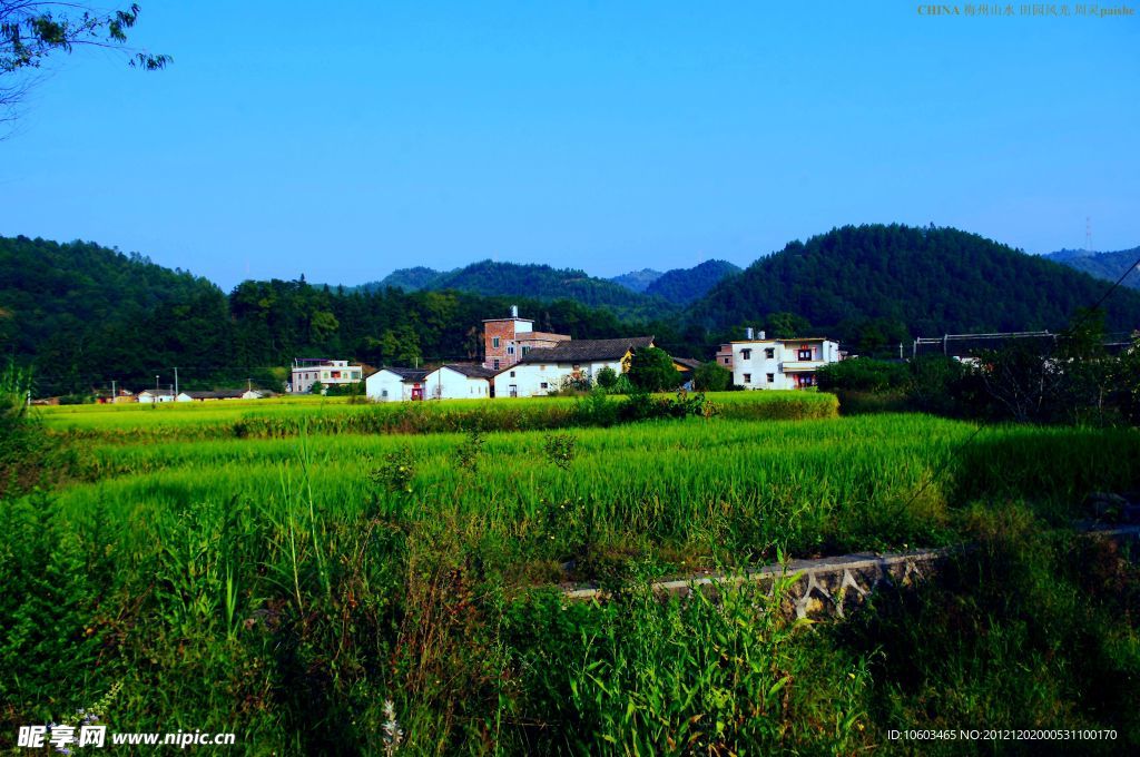 乡村 田园风光