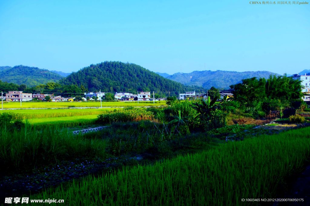 乡村 田园风光