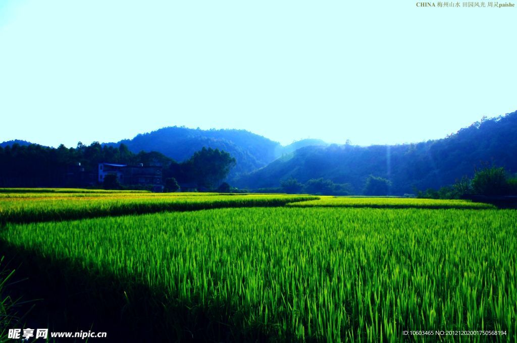 乡村 田园风光