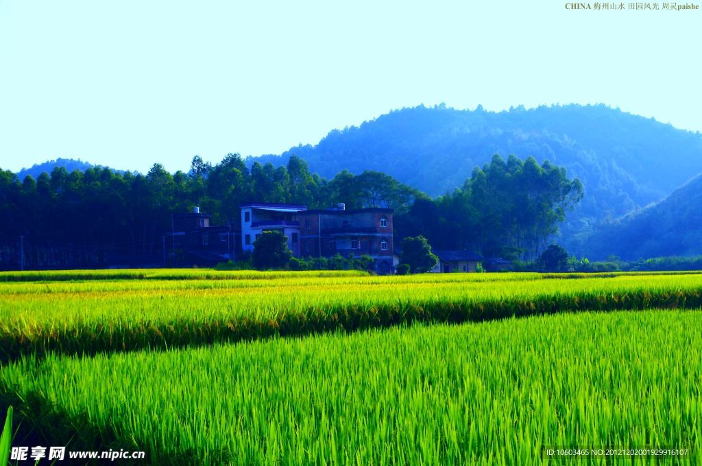 乡村 田园风光