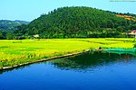 乡村 田园风光
