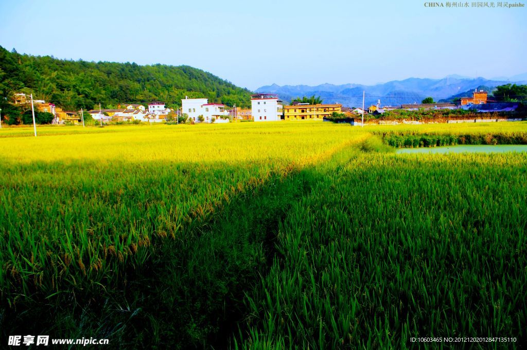 山水 田园风光