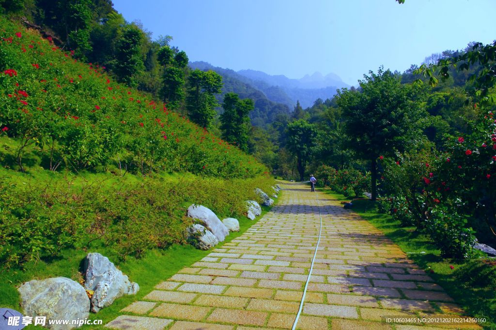 山水梅州 桥溪民俗村