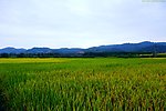 山水风景 田园风光