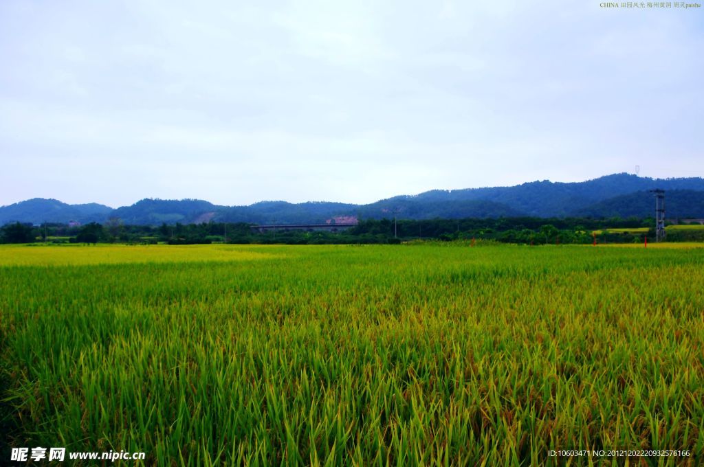 山水风景 田园风光