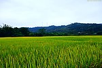 山水风景 田园风光