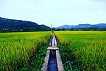山水风景 田园风光