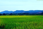 山水风景 田园风光