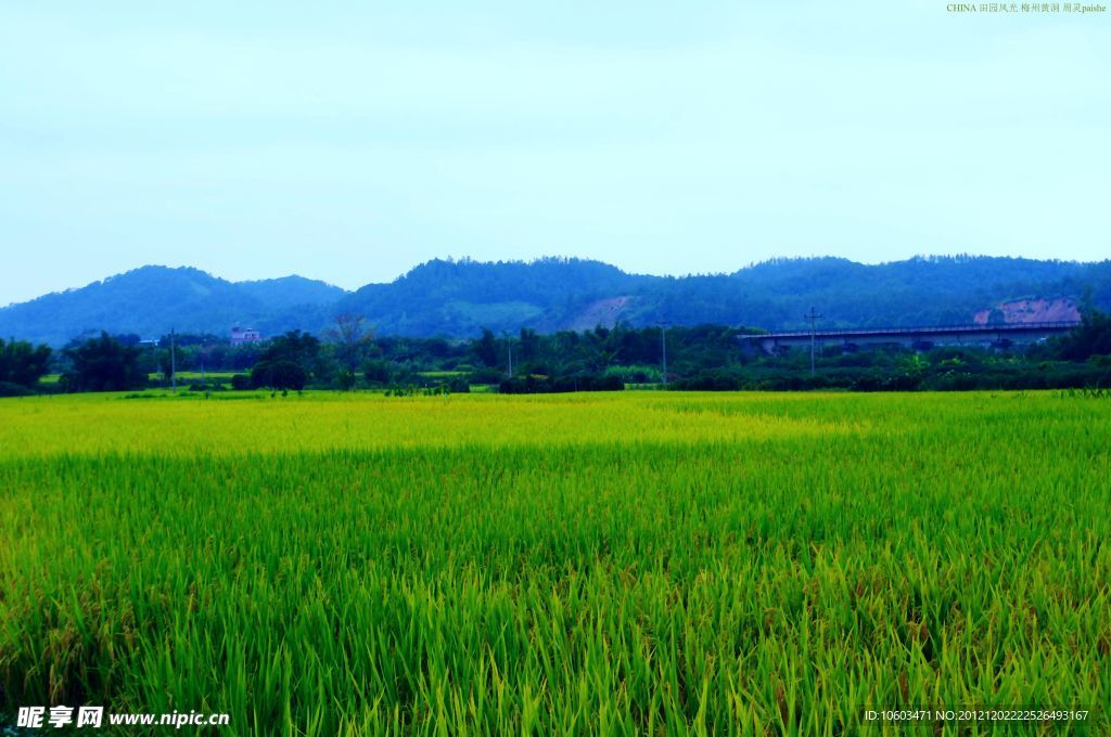 山水风景 田园风光