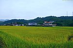 山水风景 田园风光