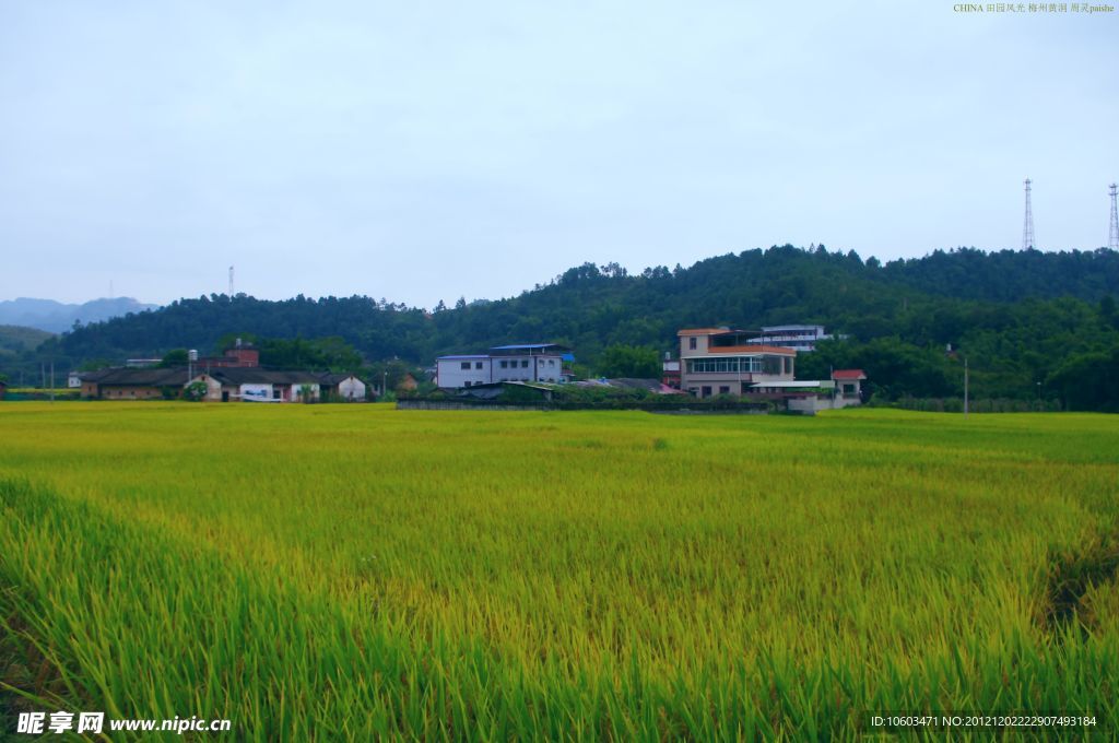 山水风景 田园风光