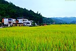 山水风景 田园风光