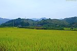 山水风景 田园风光