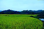 山水风景 田园风光
