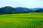 山水风景 田园风光