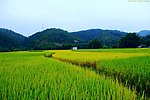 山水风景 田园风光