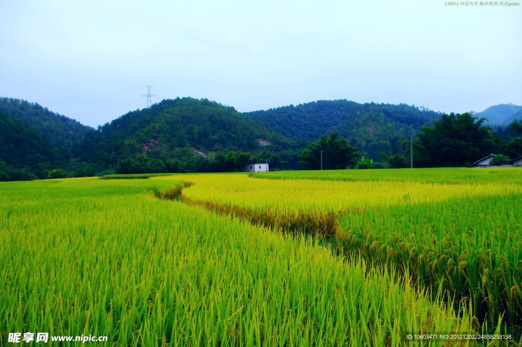 山水风景 田园风光