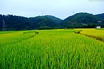 山水风景 田园风光