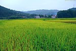 山水风景 田园风光