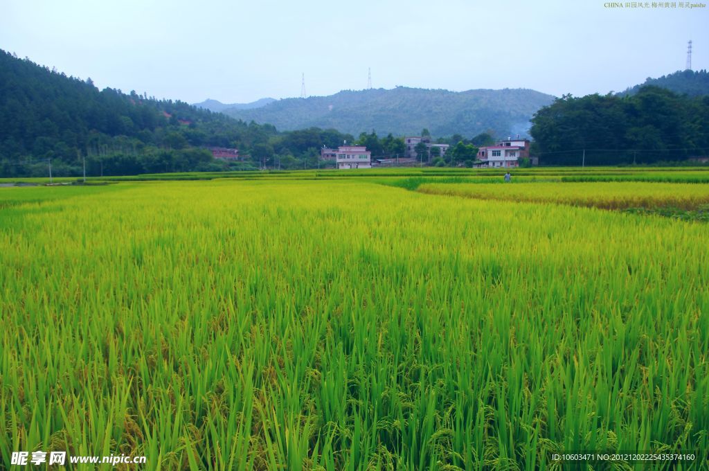 山水风景 田园风光