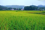 山水风景 田园风光