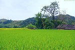 山水风景 田园风光