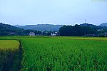山水风景 田园风光