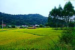 山水风景 田园风光