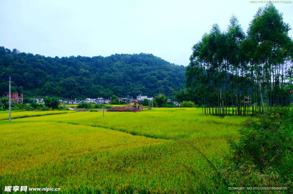 山水风景 田园风光
