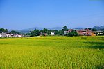 山水风景 田园风光