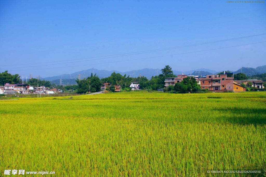 山水风景 田园风光